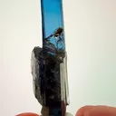 Tanzanite Royalty - image 1