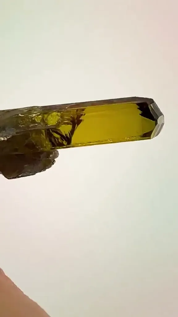 Tanzanite Royalty - image 2