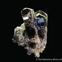 Tanzanite with Diopside - image 7
