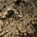 Tarbuttite - image 2