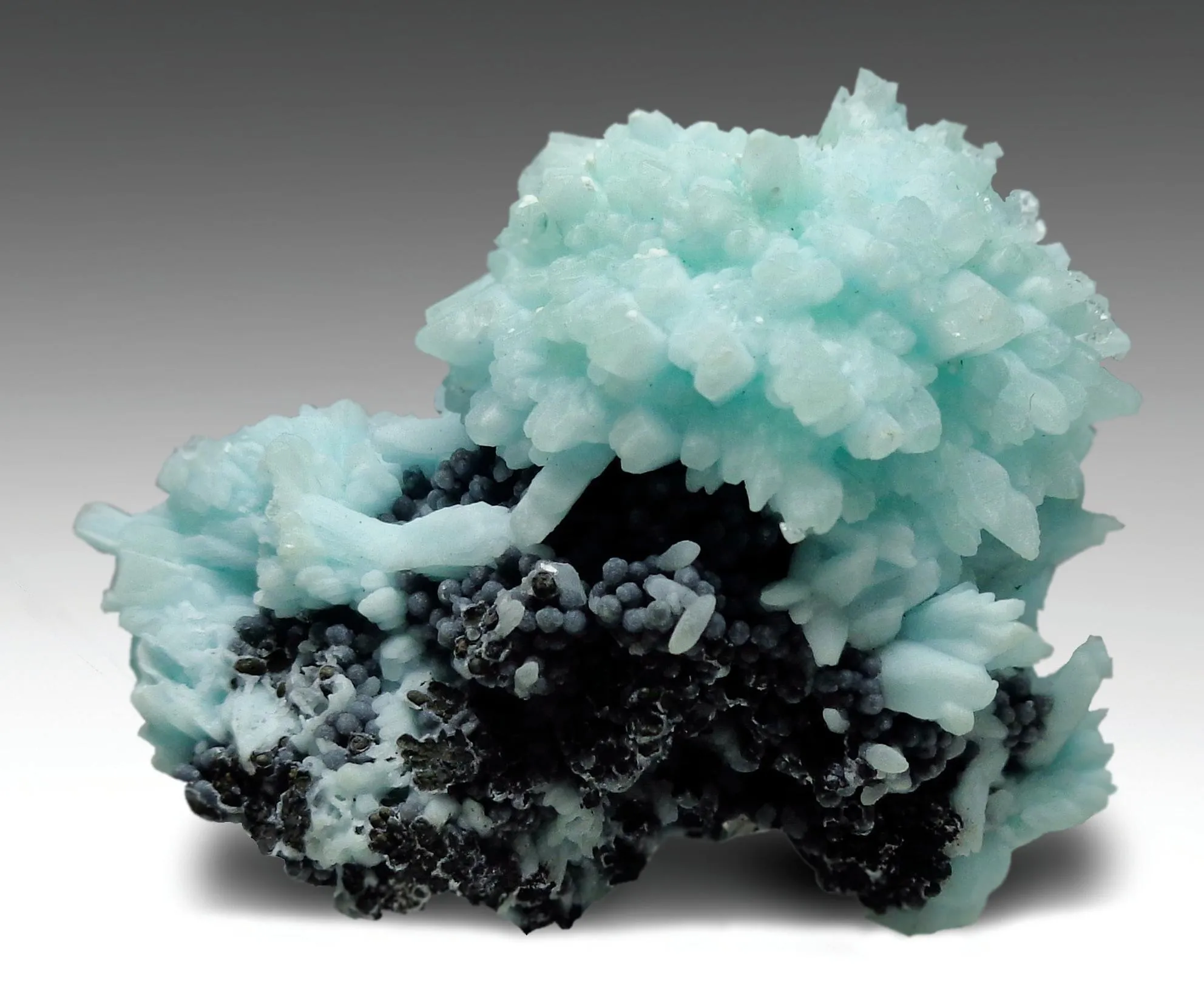 Tarbuttite, Fluorapatite - image 1