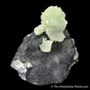 Tarbuttite on Matrix - image 4