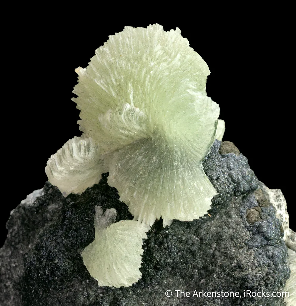 Tarbuttite on Matrix image