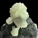 Tarbuttite on Matrix - image 1