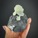 Tarbuttite on Matrix - image 2