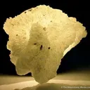 Tarbuttite With Skorpionite - image 3