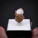 Tarnowitzite on Smithsonite, with Cerussite - image 2