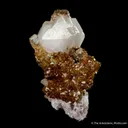 Tarnowitzite on Smithsonite, with Cerussite - image 7