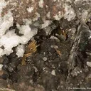 Teallite and Wurtzite on Cassiterite - image 3