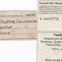 Teallite with Wurtzite & Cassiterite (early 1900s) - image 6