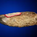 Tellurium - image 5