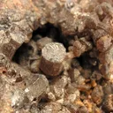 Tephroite - image 2