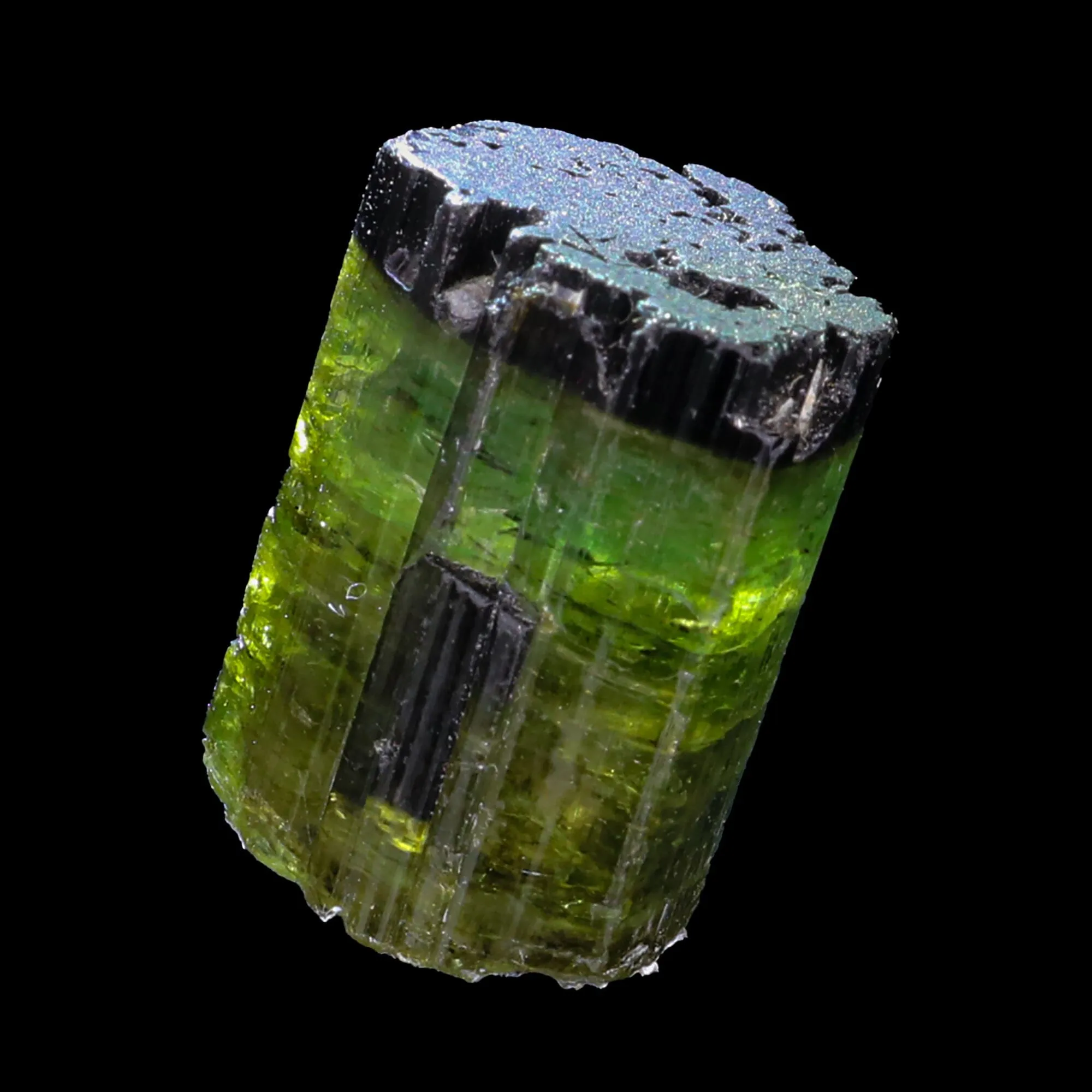 Terminated Deep Green Tourmaline Natural Mineral Specimen - image 3