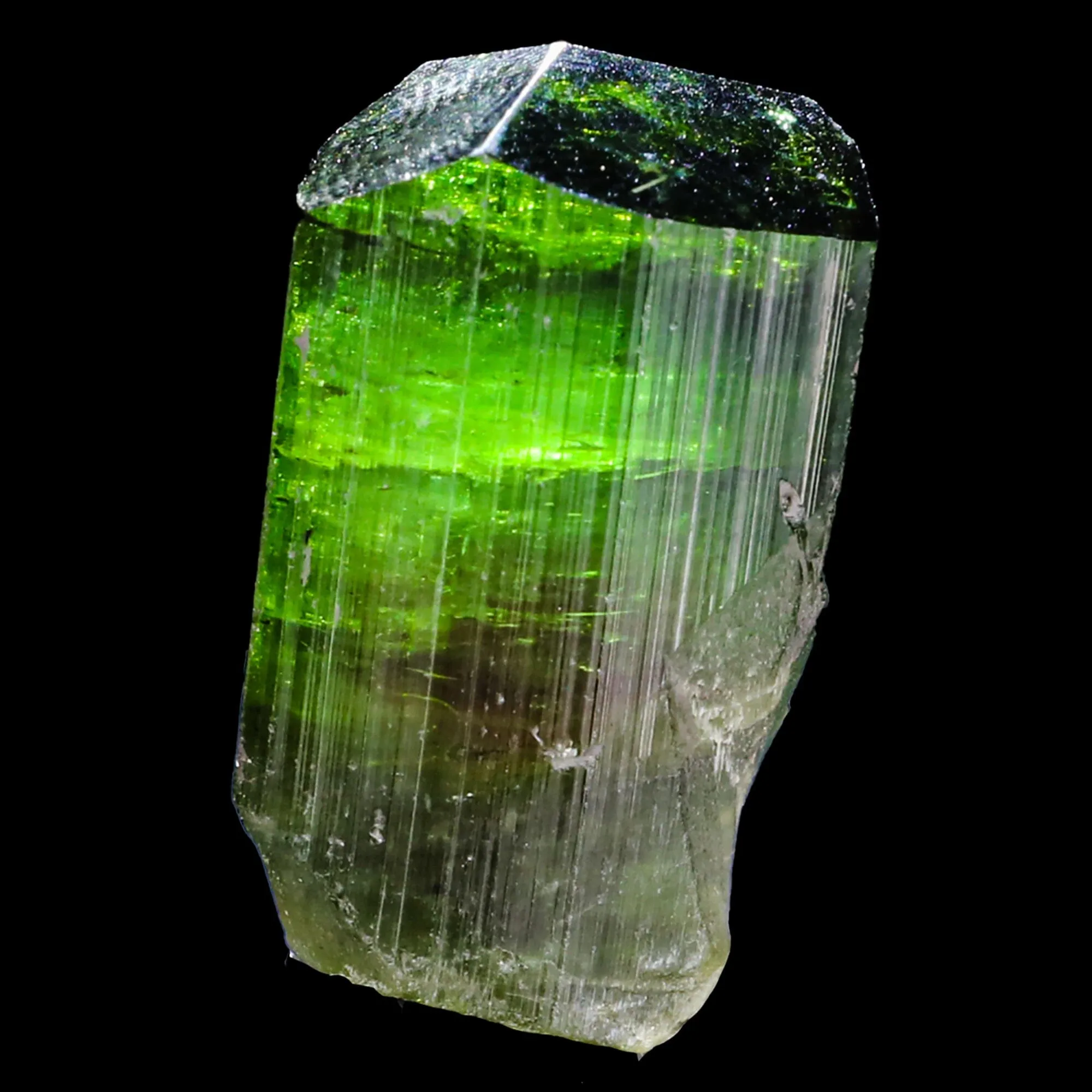 Terminated Deep Green Tourmaline Natural Mineral Specimen - image 5