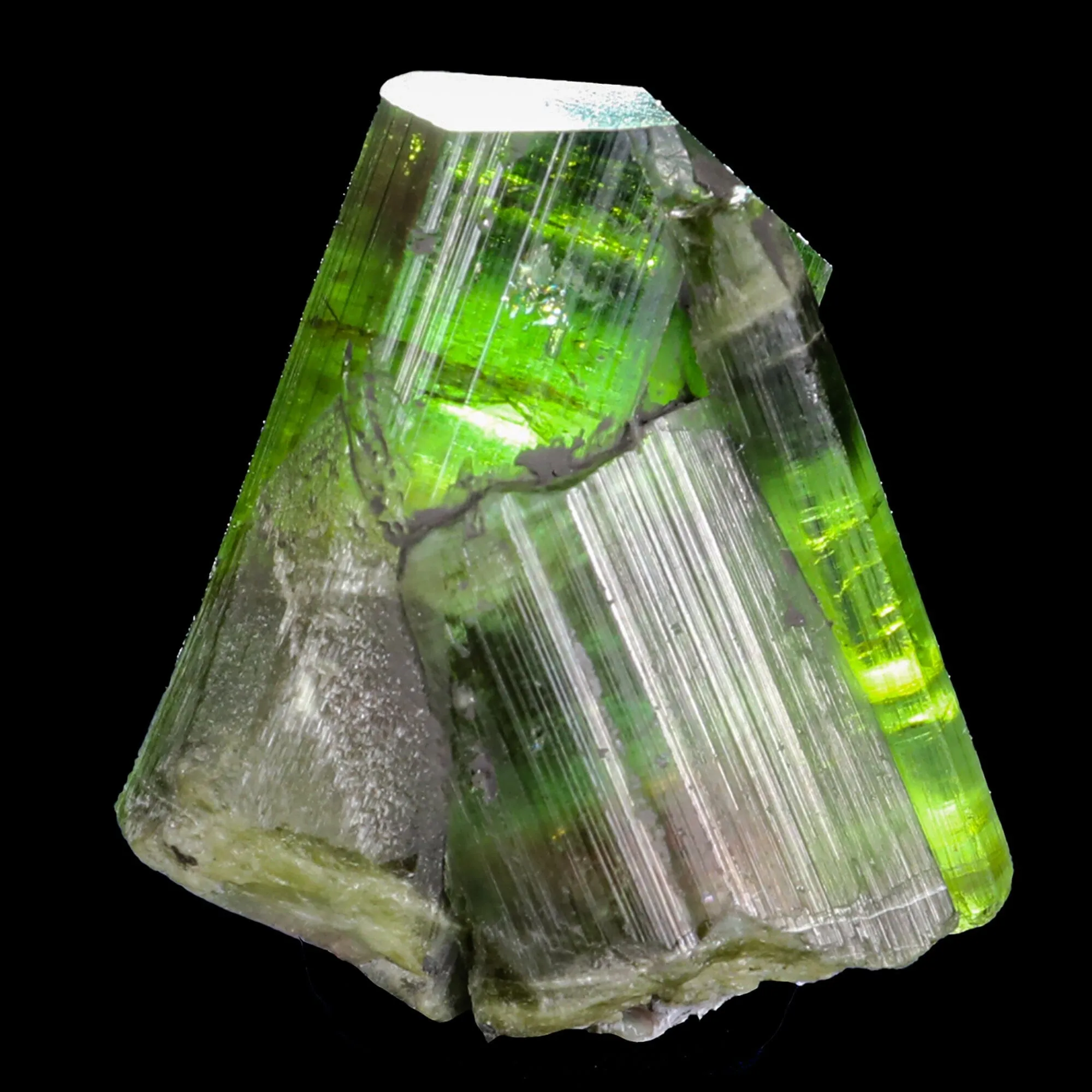 Terminated Deep Green Tourmaline Natural Mineral Specimen - image 4