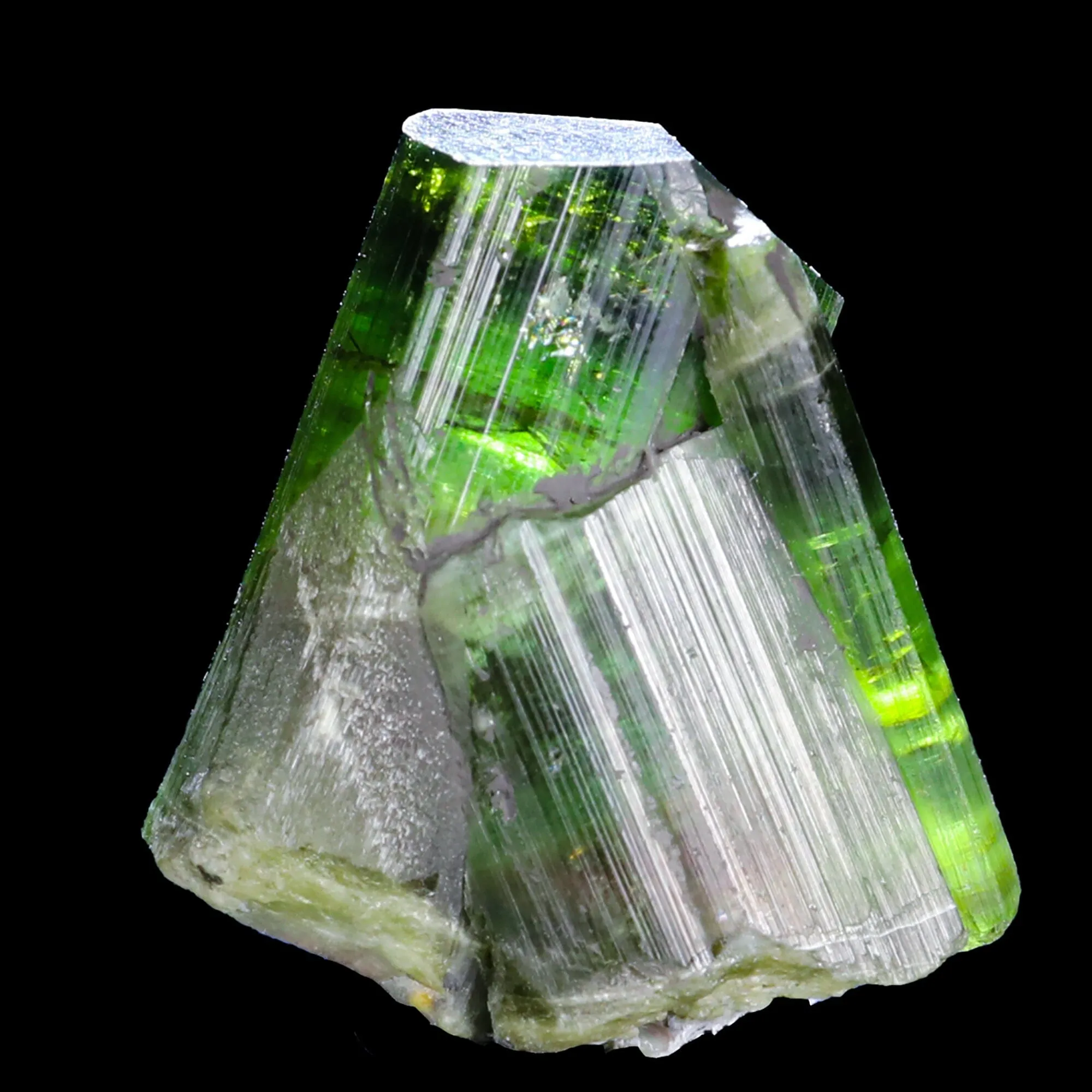 Terminated Deep Green Tourmaline Natural Mineral Specimen - image 6
