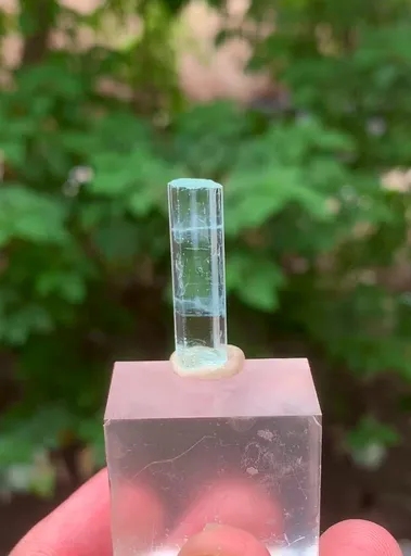 specimen video