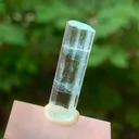 Terminated Visible DNA Helix Aquamarine Crystal From Shigar Pakistan - 2.45 Grams - image 4