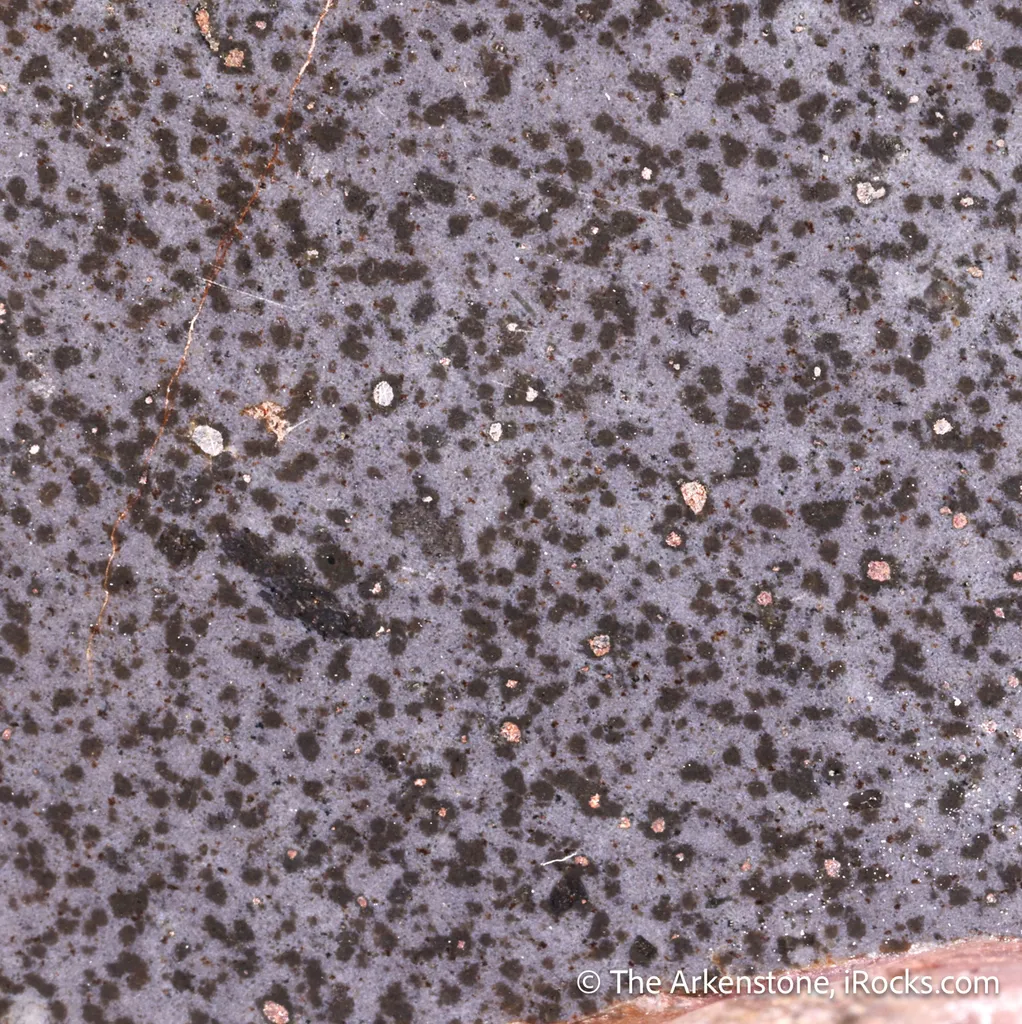 Terrestrial Native Iron in basalt (polished, TL) - image 3