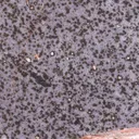 Terrestrial Native Iron in basalt (polished, TL) - image 3