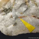 Tetradymite and Gold - image 4