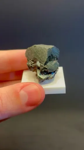 specimen video