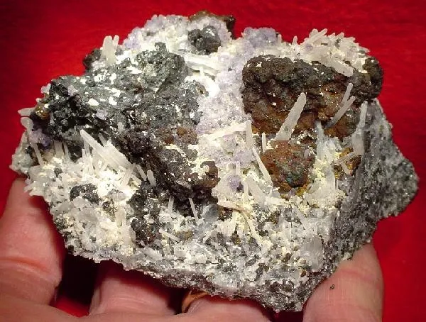 Tetrahedrite, Fluorite, Quartz image