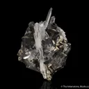 Tetrahedrite, Hubnerite, Quartz and Pyrite - image 4