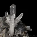 Tetrahedrite, Hubnerite, Quartz and Pyrite - image 3