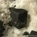 Tetrahedrite (Mercurian) Var. Schwatzite - image 2