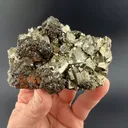 Tetrahedrite on Pyrite - image 1