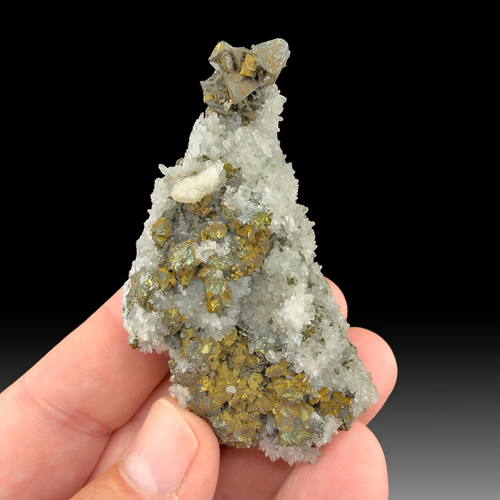 Tetrahedrite with Chalcopyrite, Quartz image