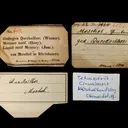 Tetrahedrite with Cinnabar - image 1