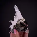 Tetrahedrite with Quartz and Pyrite - image 1