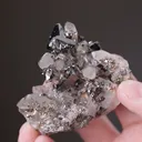 Tetrahedrite with Quartz - image 2