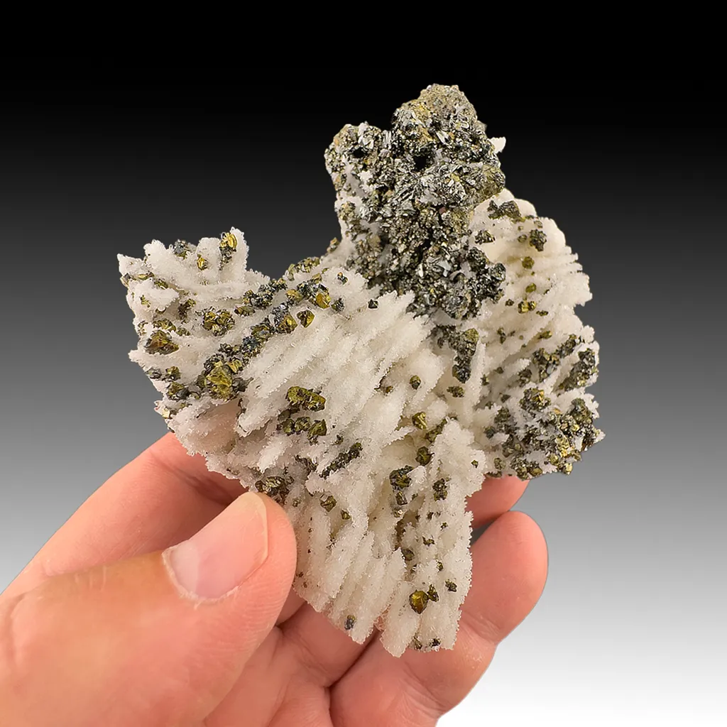 Tetrahedrite with Quartz, Chalcopyrite image