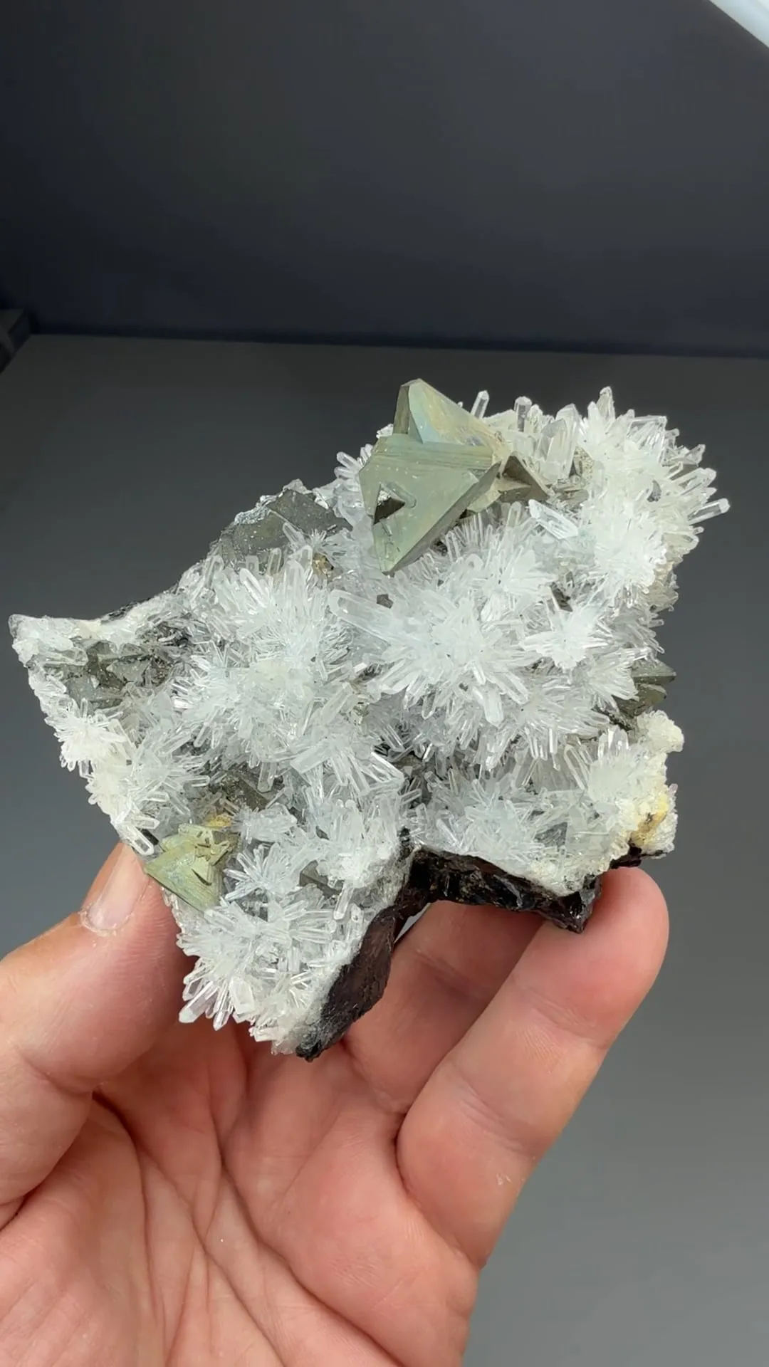 Tetrahedrite with Quartz, Sphalerite (909) - image 2