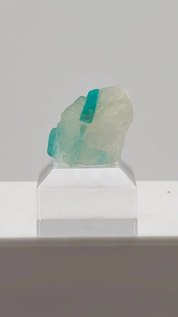 That Blue Paraiba Tourmaline in Quartz image