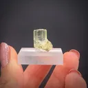 Thaumasite - image 2