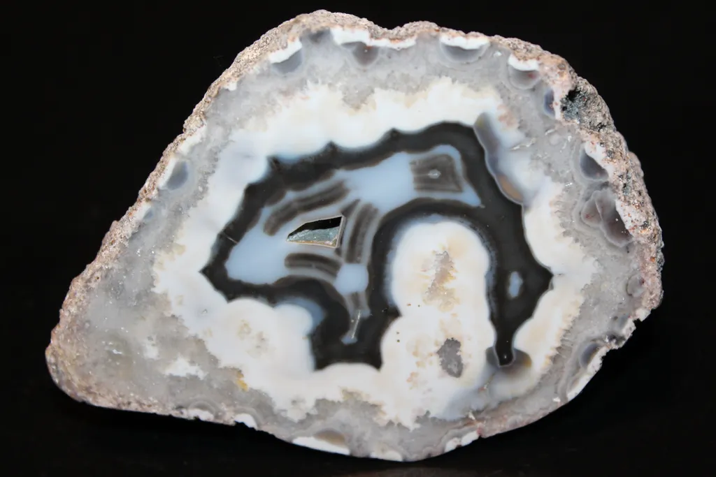 "The Bear" Agate from Puma Deposit, Argentina image