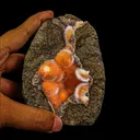 The Best and Rare Thomsonite Orange Rare Find Natural Mineral Specimen - image 4