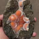 The Best and Rare Thomsonite Orange Rare Find Natural Mineral Specimen - image 7