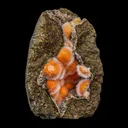 The Best and Rare Thomsonite Orange Rare Find Natural Mineral Specimen - image 3