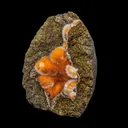The Best and Rare Thomsonite Orange Rare Find Natural Mineral Specimen - image 2
