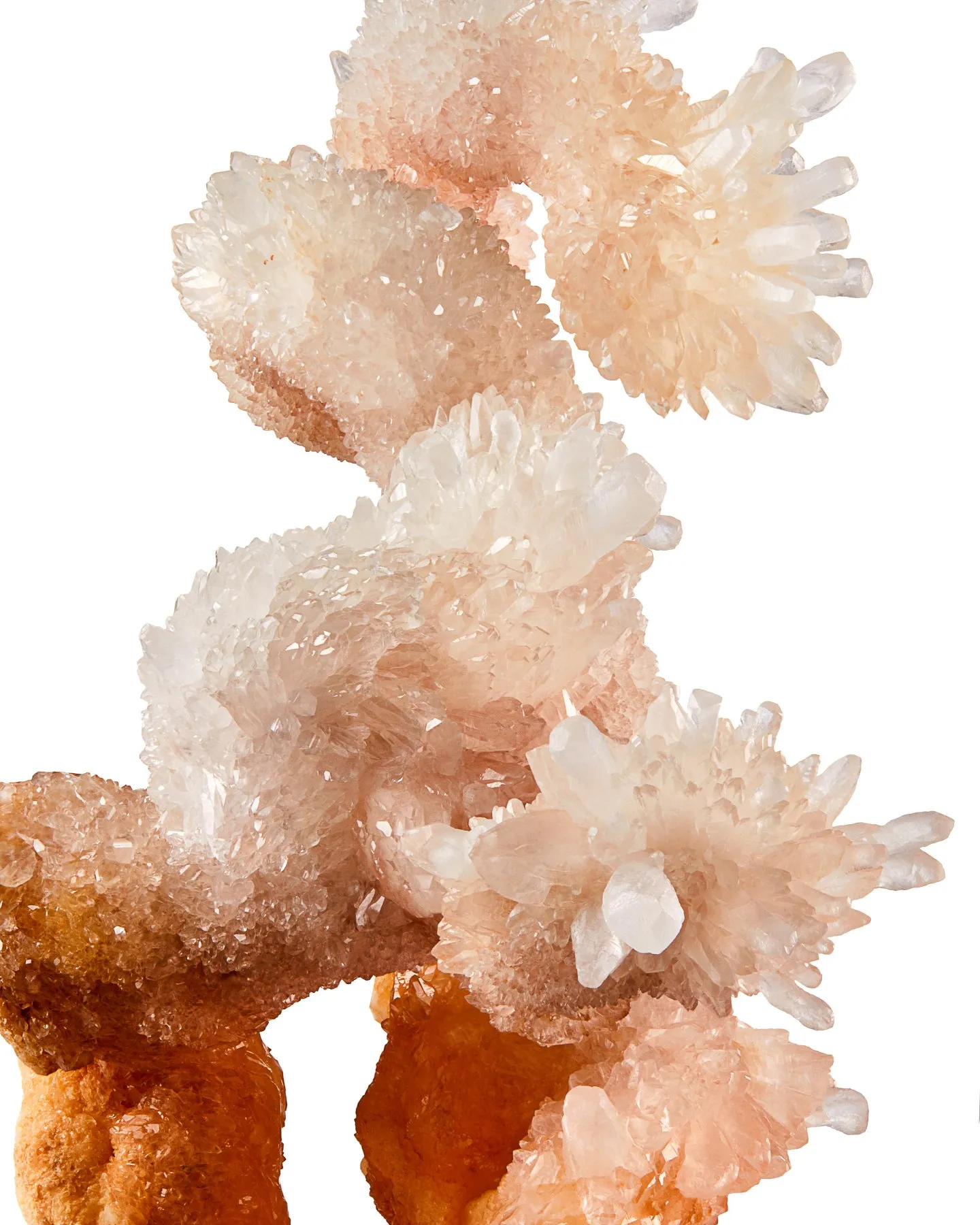 "The Bonsai Tree" Calcite Helictites, Li Gian Mine, Wenshan, Yunnan, China - image 2