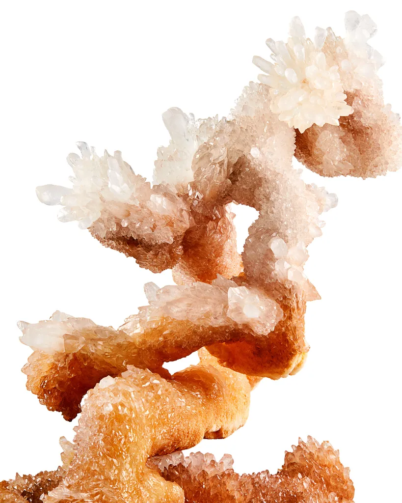 "The Bonsai Tree" Calcite Helictites, Li Gian Mine, Wenshan, Yunnan, China - image 3