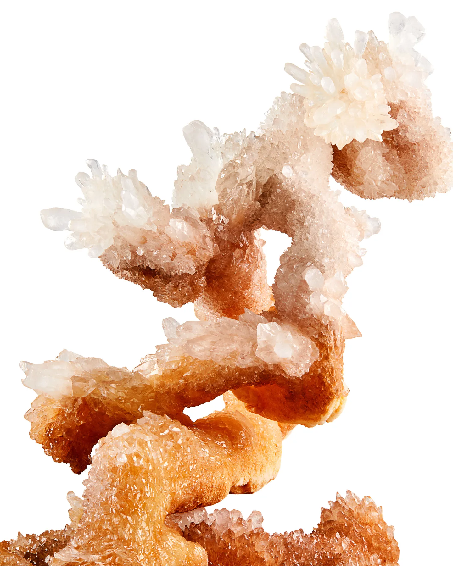 "The Bonsai Tree" Calcite Helictites, Li Gian Mine, Wenshan, Yunnan, China - image 3