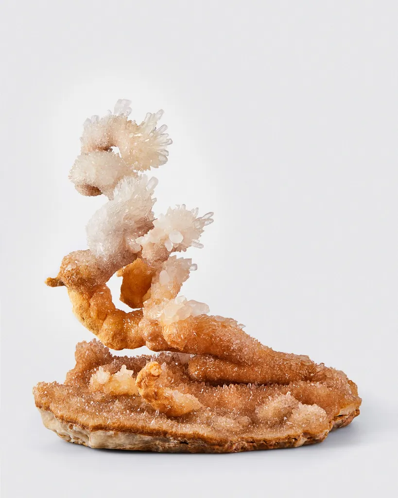 "The Bonsai Tree" Calcite Helictites, Li Gian Mine, Wenshan, Yunnan, China image