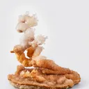 "The Bonsai Tree" Calcite Helictites, Li Gian Mine, Wenshan, Yunnan, China - image 1