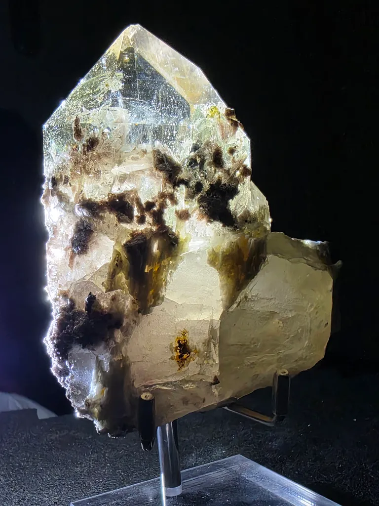 The quartz - image 6